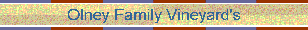 Olney Family Vineyard's